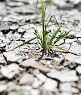 احتمال تداوم خشکسالی‌های بی‌سابقه در جهان برای مدت ۵  سال
